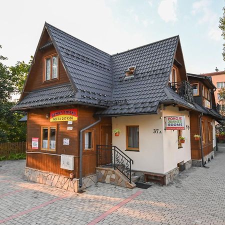 Wesola Chatka Zakopane - Krupowki 37A -Centrum Eksteriør bilde